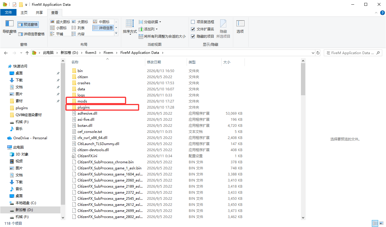 FiveM Application Data2